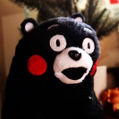 東森のプロフィール
