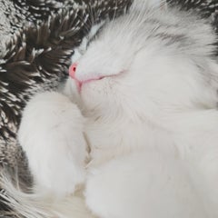 leahzj131のプロフィール