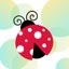 🐞てんとうむしママのサムネイル
