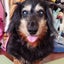 画像 アンコのキモチのユーザープロフィール画像