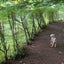 muguetのサムネイル