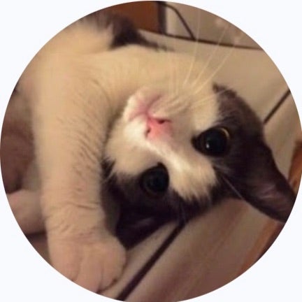 にゃん太郎