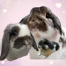 ひかるのプロフィール