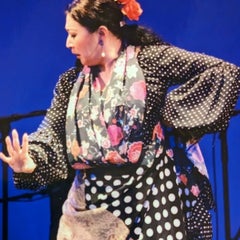 8yasuko8flamenco8のプロフィール
