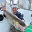 画像 fishing-grand-slamのブログのユーザープロフィール画像