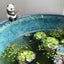 mochi-ppsのサムネイル