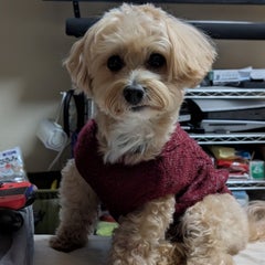 aki kのプロフィール