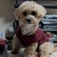 aki kのサムネイル