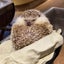 みーあきゃっとのサムネイル