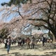 hitoのおすすめのサムネイル