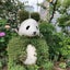 watabouzusanのサムネイル