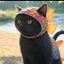 黒いひこにゃんのサムネイル