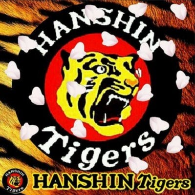 55tigers53