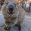 ひょろ子のサムネイル