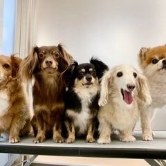 あやのプロフィール