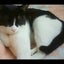 💕清香💕のサムネイル
