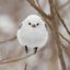 こーしよんじゃのサムネイル