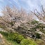 ゆるたぷ🈵　だいえっと！のサムネイル