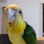 れれんこのサムネイル