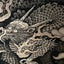 ザキさんのサムネイル