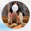 Merryちゃんのサムネイル