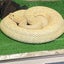 わたしの携帯どこいった⁉︎のサムネイル