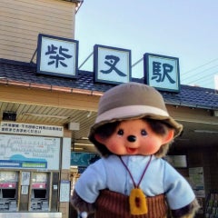 midori29のプロフィール