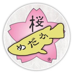 桜めだかのプロフィール