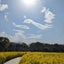 画像 ODAYAKANIのユーザープロフィール画像