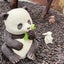 komatta3kumaのサムネイル