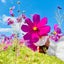 画像 Re＋alsのユーザープロフィール画像