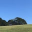 fukufuku-diaryのサムネイル