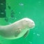 朔のサムネイル