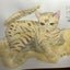 takechan1191のサムネイル