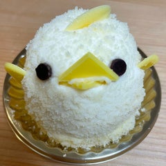 notionおばさんのプロフィール