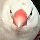 🕊️🤍のサムネイル