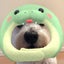 ぽっちゃりーなのサムネイル