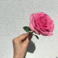 苺🍓のプロフィール