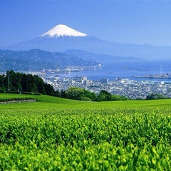 ふじ。のプロフィール