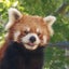 poohkimamaのサムネイル