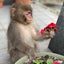けみちゃんのサムネイル