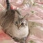 画像 keiko トリプルネガティブのユーザープロフィール画像