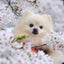 画像 This Holidayのユーザープロフィール画像