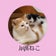 Withねこ【猫との楽しい暮らし】