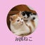 画像 Withねこ【猫との楽しい暮らし】のユーザープロフィール画像