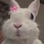 画像 mihokomihoko5131のブログのユーザープロフィール画像