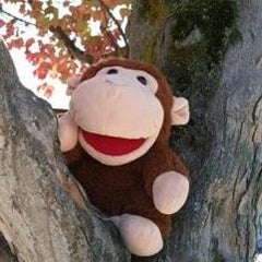 naru-japanese-teacherのプロフィール