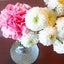 毒親育ち脳の思考修正サポーター　　　和泉　花（いずみ　はな）のサムネイル