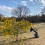 ＊かえる＊のサムネイル