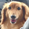 SORAのプロフィール
